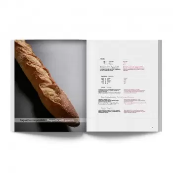 True Bread / Panes con Oficio (REPRINT) by Joaquín Llarás (Bilingual English & Spanish)