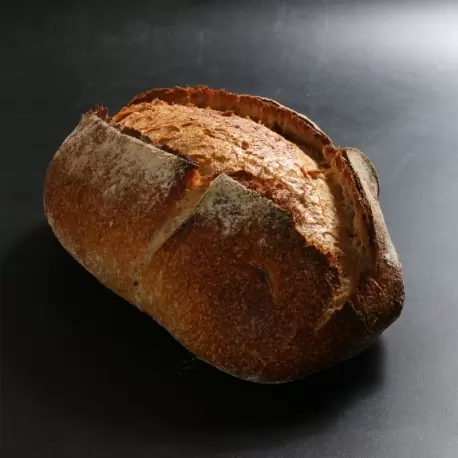 True Bread / Panes con Oficio (REPRINT) by Joaquín Llarás (Bilingual English & Spanish)