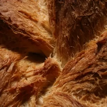 True Bread / Panes con Oficio (REPRINT) by Joaquín Llarás (Bilingual English & Spanish)
