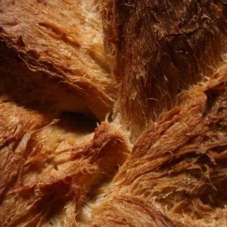 True Bread / Panes con Oficio (REPRINT) by Joaquín Llarás (Bilingual English & Spanish)
