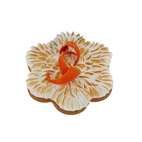 Pastry Chef's Boutique 06626 Stainless Steel Perforated Flower Circle Tart Ring - 6 Parts - Ø 24 x 2.5 cm Other Shaped Rings Pastry Chef's Boutique 06626 Stainless Steel Perforated Flower Circle Tart Ring - 6 Parts - Ø 24 x 2.5 cm Other Shaped Rings