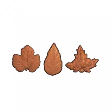 Polycarbonate 3 Autumn Fall Leaf Chocolate Mold - 3 x 6 cavity - 5gr Polycarbonate 3 Autumn Fall Leaf Chocolate Mold - 3 x 6 cavity - 5gr