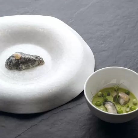 Pavoni Italia Oyster Decoration Silicone Mold - 80 mm x 46 mm x 21 mm H - 10 cavity - 20 ml