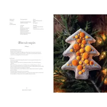 L'Extraordinaire Noël des pâtissiers: 90 recettes de fête - Hardcover - French Language