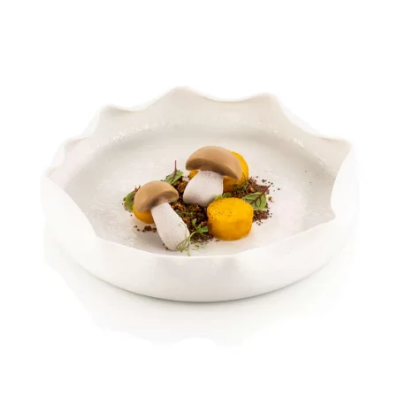 Silikomart Professional Naturae Porcino Mushroom Mold - by Kazuyuki Tanaka - 16 cavity - 13ml and 20ml Silikomart Professional Naturae Porcino Mushroom Mold - by Kazuyuki Tanaka - 16 cavity - 13ml and 20ml