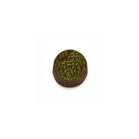 Barry Callebaut F028881 Tropical Chocolate Transfer Sheets - 300 mm x 400 mm - 10 sheets Chocolate Transfer Sheets Barry Callebaut F028881 Tropical Chocolate Transfer Sheets - 300 mm x 400 mm - 10 sheets Chocolate Transfer Sheets