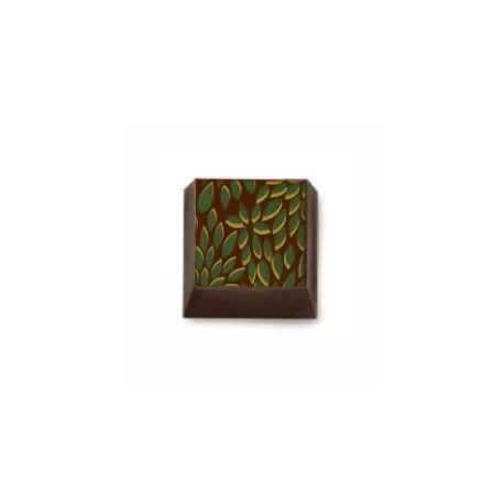 Barry Callebaut F028881 Tropical Chocolate Transfer Sheets - 300 mm x 400 mm - 10 sheets Chocolate Transfer Sheets Barry Callebaut F028881 Tropical Chocolate Transfer Sheets - 300 mm x 400 mm - 10 sheets Chocolate Transfer Sheets
