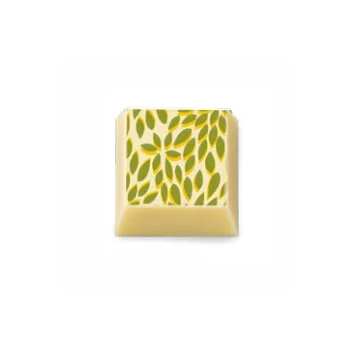 Barry Callebaut F028881 Tropical Chocolate Transfer Sheets - 300 mm x 400 mm - 10 sheets Chocolate Transfer Sheets