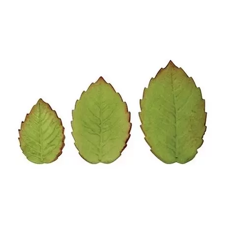 PME 10228 PME Larger Rose Leaf Plungers Cutter 3pc Set - 45mm 50mm 55mm Fondant Cutters & Plungers PME 10228 PME Larger Rose Leaf Plungers Cutter 3pc Set - 45mm 50mm 55mm Fondant Cutters & Plungers