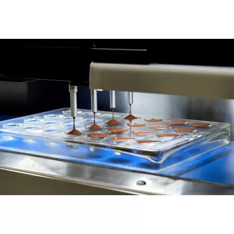 Hans Brunner HB-9060-PC Thermoformed Polycarbonate Chocolate Straight Heart Mold - Heart praline - 25 x 22 x 16 mm - 7.5 grs ... Hans Brunner HB-9060-PC Thermoformed Polycarbonate Chocolate Straight Heart Mold - Heart praline - 25 x 22 x 16 mm - 7.5 grs ...