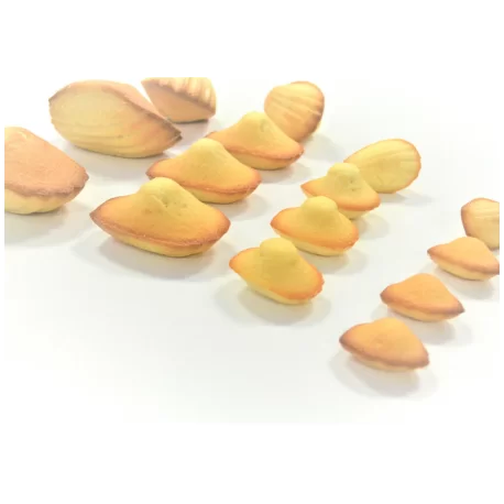 Mae 000305 SILMAE Professional Silicone Pastry Mold - Mini Madeleines - 41.15mm x 29.5mm x 10mm - 100 cavity - 5.5ml SILMAE F...