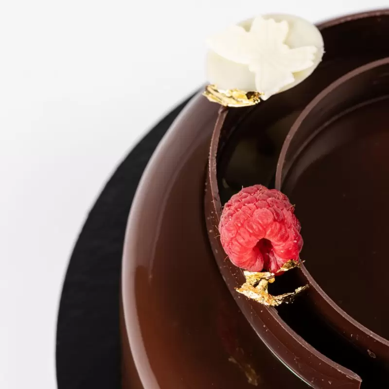 SILMAE Professional Silicone Pastry Mold - Cylinder Entremet by Mathieu Blandin - Ø162mm x 45 mm - 1 cavity - 894ml - Mae