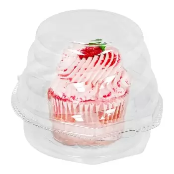 Clear Plastic Swirl Dome Jumbo Cupcake Container - 5 1/4" x 4" - 270 pcs