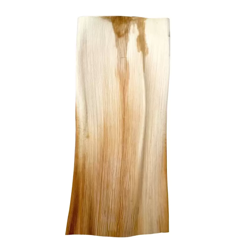 PacknWood Palm Leaf - L:21.7'' W:12.6'' - 50 pcs PacknWood Palm Leaf - L:21.7'' W:12.6'' - 50 pcs