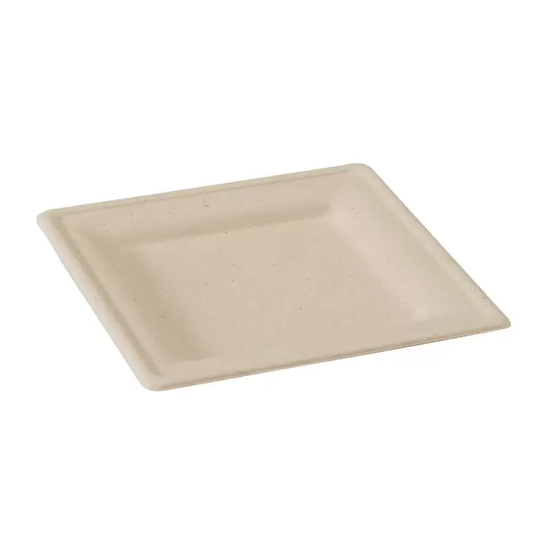 PacknWood Square Brown Sugarcane Plate - 7.8 x 7.8'' - 500 pcs PacknWood Square Brown Sugarcane Plate - 7.8 x 7.8'' - 500 pcs