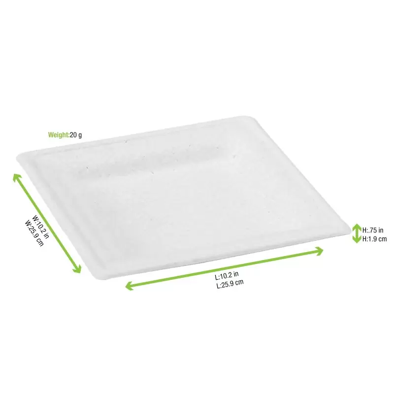 PacknWood 210Apu2626A - Square White Sugarcane Plate - 250 pcs PacknWood 210Apu2626A - Square White Sugarcane Plate - 250 pcs