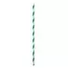PacknWood Durable Green & White Striped Cocktail Paper Straws - Unwrapped - Diam.0.2'' H:5.7'' - 3000 pcs