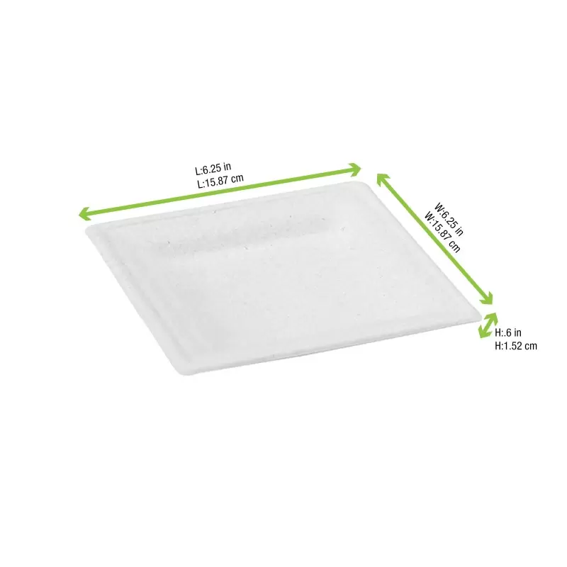 PacknWood Square White Sugarcane Plate - 6.2'' - 576 pcs PacknWood Square White Sugarcane Plate - 6.2'' - 576 pcs