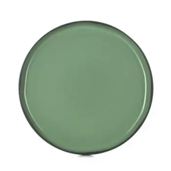 Revol Caractere Collection Dinner Plate - Mint - Set of 4 pcs