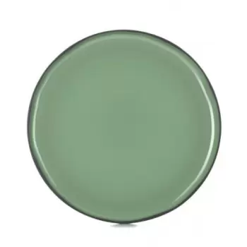 Revol Caractere Collection Presentation Plate - Mint - Set of 4 pcs