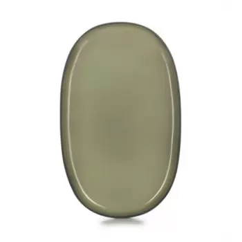 Revol Caractere Collection Oval Plate - Cardamom - Set of 4 pcs