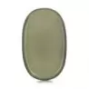 Revol Caractere Collection Oval Plate - Cardamom - Set of 4 pcs