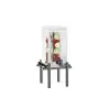 Cal-Mil One By One Black 1.5 Gallon Beverage Dispenser With Infusion Chamber