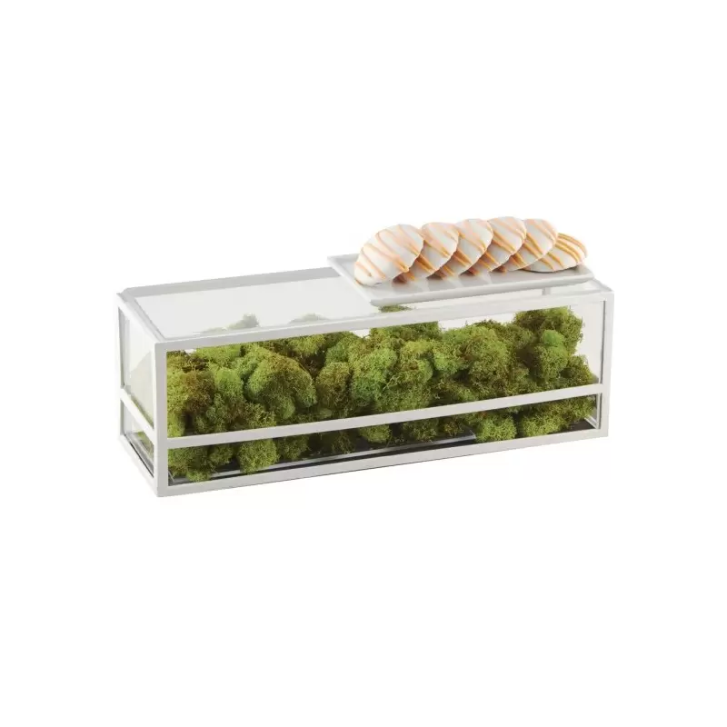 Cal-Mil Monterey 5" x 15" x 5" White Rectangle Presentation Case Cal-Mil Monterey 5" x 15" x 5" White Rectangle Presentation Case