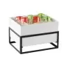 Cal-Mil Monterey Ice Housing 10" x 12" With White Melamine Pan