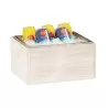 Cal-Mil Newport Ice Housing With Clear Pan 10" x 12"