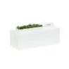 Cal-Mil Juno Rectangle Riser Display 20 x 7 x 7