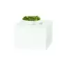 Cal-Mil Juno Cube Riser Display - 14 x 14 x 11