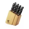 Zwilling TWIN Gourmet 9pc Steak Knife Block Set