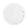 Degrenne 239318 Degrenne Bahia Pierre De Lune Round Dinner Plate 29...
