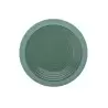 Degrenne 230950 Degrenne Bahia Argile Verte Round Dinner Plate 23 c...