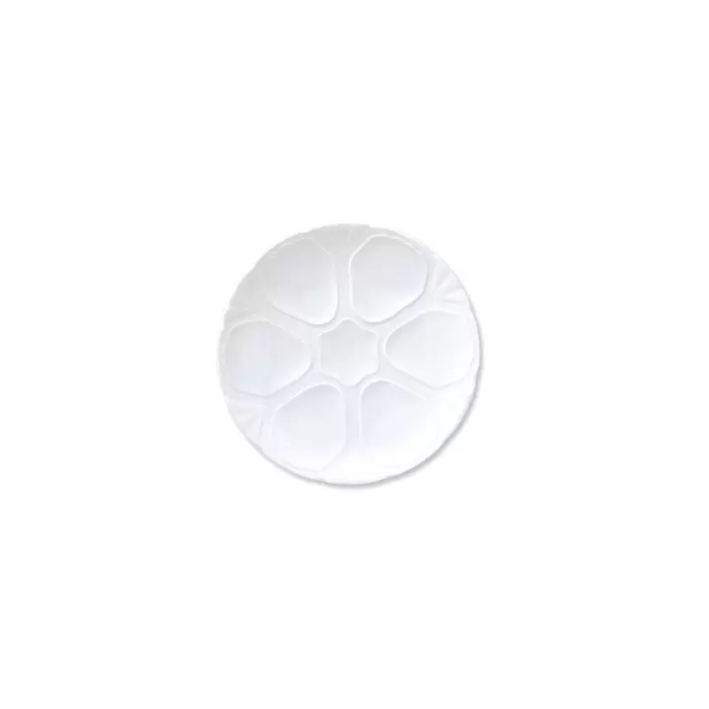TURGLA GR28ID00 Turgla Porcelain Delta-Coupe dia.10.75" Round White...