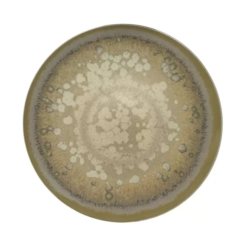 Jaune de Chrome AGO1002BASMBLNC000 Jaune de Chrome Basmati 29 cm Pl... Jaune de Chrome AGO1002BASMBLNC000 Jaune de Chrome Basmati 29 cm Pl...