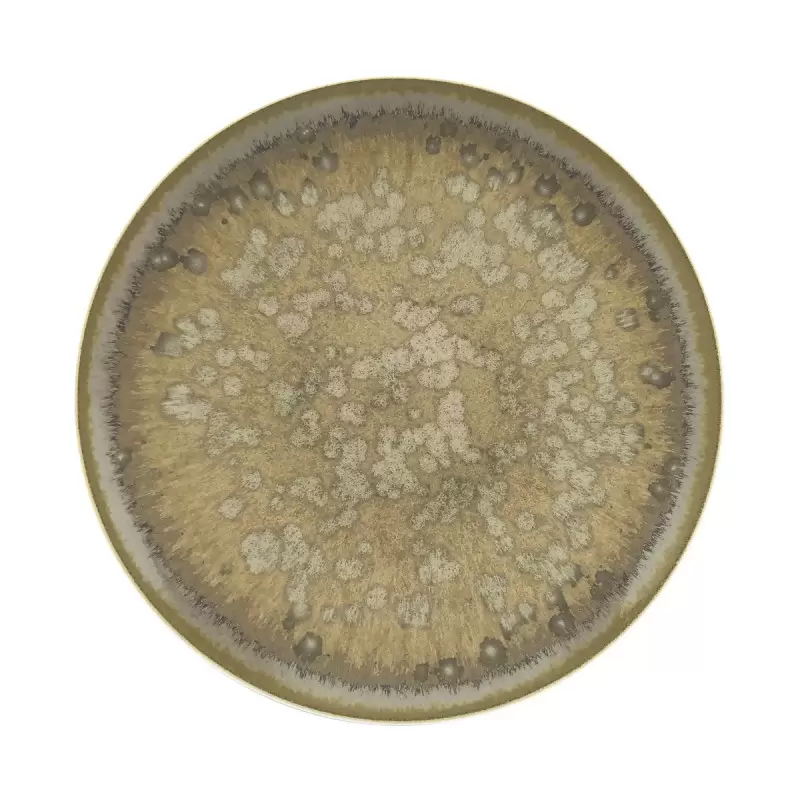 Jaune de Chrome DMO1084BASMBLNC000 Jaune de Chrome Basmati 29 cm Pl... Jaune de Chrome DMO1084BASMBLNC000 Jaune de Chrome Basmati 29 cm Pl...
