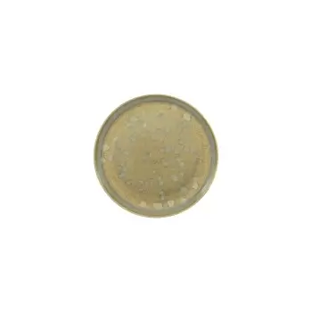 Jaune de Chrome SLI1008BASMBLNC000 Jaune de Chrome Basmati Mini Fla...