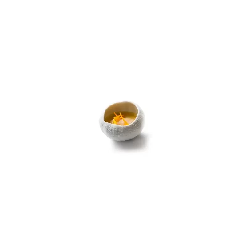 Pordamsa V0122-0057N Pordamsa Sea Urchin Gloss/Mat 8 cm