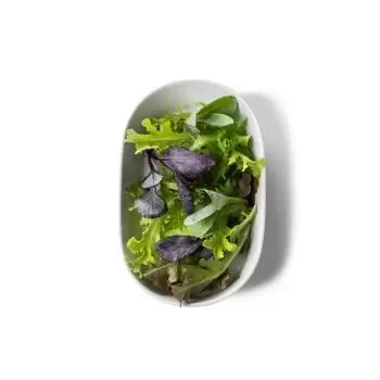 Pordamsa V0850-0520 Pordamsa Casual Oval Deep Tray 20 cm
