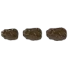 Polycarbonate Raisin Chocolate Mold - 34mm - 40mm - 24 cavity