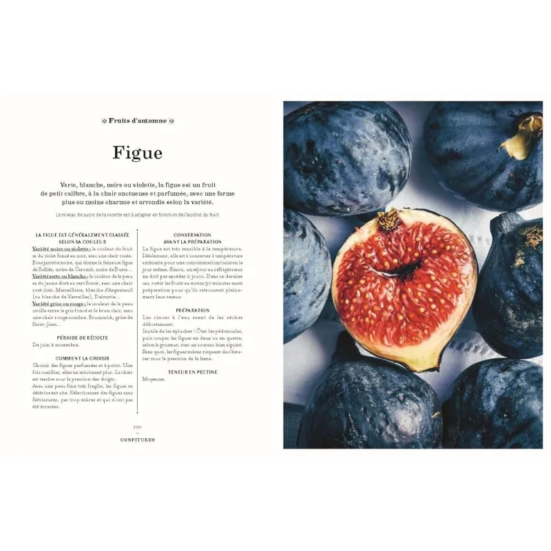 Confitures by Lise Bienaime - Paperback 400 Pages - French Language Confitures by Lise Bienaime - Paperback 400 Pages - French Language