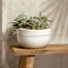 Villeroy & Boch Perlemor Sand Collection Fine Porcelain Serving Bowl - 225 x 225 x 125 mm - 1 pc set.