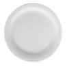 Degrenne 109340 Degrenne Uniset Dinner Plate 19 cm - 19 cm - 7''1/2...