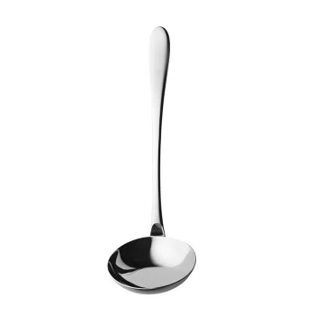Degrenne Onde Stainless Steel Soup Ladle 290 mm - 11 ''7/16 - Pack of 1