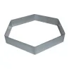 Professional Stainless Steel Hexagonal Mousse Ring - Ø 200 mm x h 45 mm