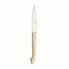 Degrenne Capucin Stainless Steel Capucin Steak Knife Ivory Color 226 mm - 8 ''7/8 - Pack of 6