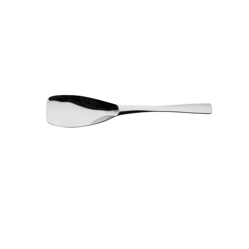 Degrenne Xy Stainless Steel Serving Spoon 260 mm - 10 ''1/4 - Pack of 1