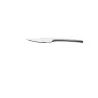Degrenne Guest Star Stainless Steel Solid Handle Steak Knife - Serrated 232 mm - 9 ''1/8 - Pack of 12